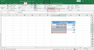 تحديد الخلايا وإضافة Data Validation