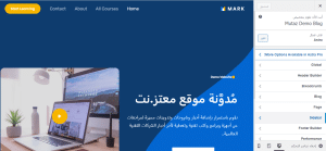 إعدادات تخصيص قالب Astra