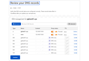 صفحة Review your DNS records