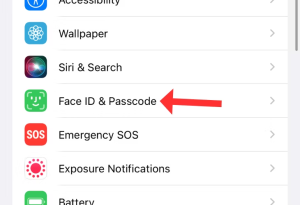 افتح تطبيق Settings ثم اختر Face ID & Passcode