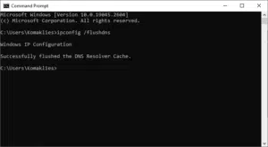 حذف ملفات الـDNS المحلية المؤقتة لحل مشكلة 502 Bad Gateway